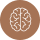 Brain Icon