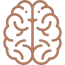 the full brain icon